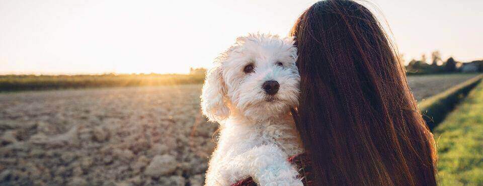 Mourning the Loss of a Pet | MyPet