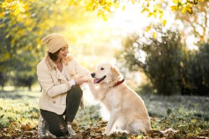 Articles, news, advice and tips about Petcare