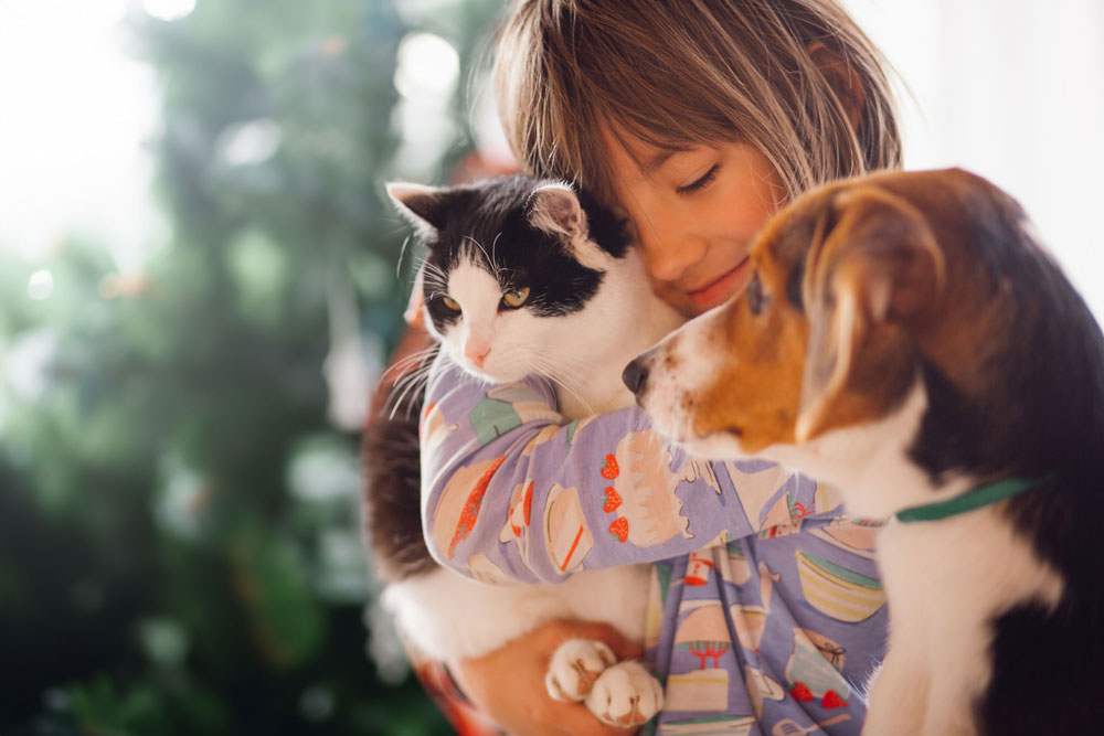 Join MyPet.com Community for Expert Pet Care Tips